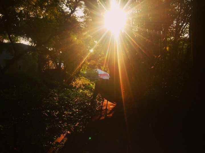 Sunshine..