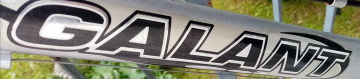 GALANT