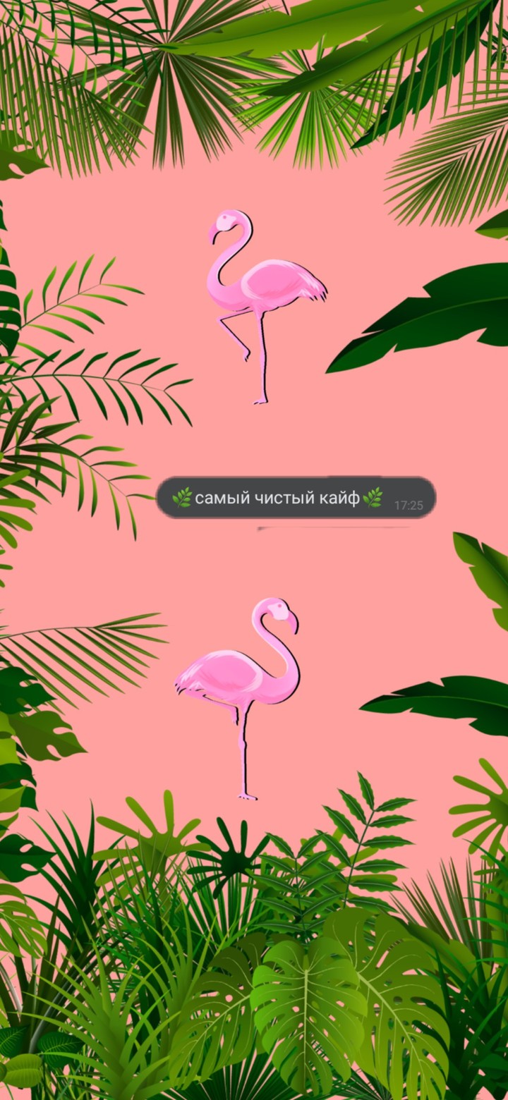 фламинго