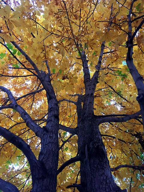 October