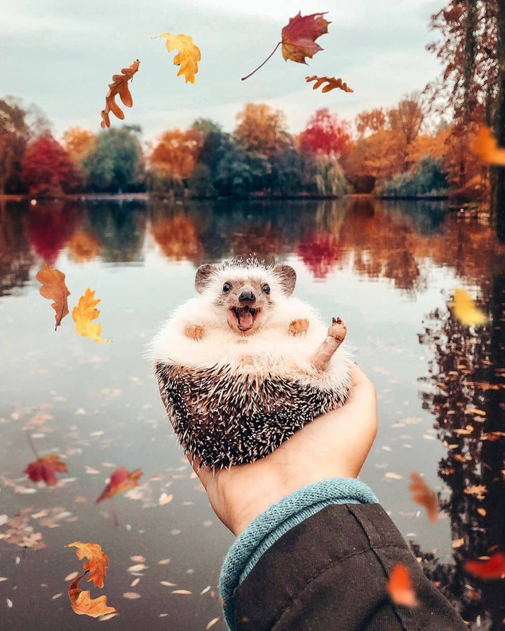 Happy ?