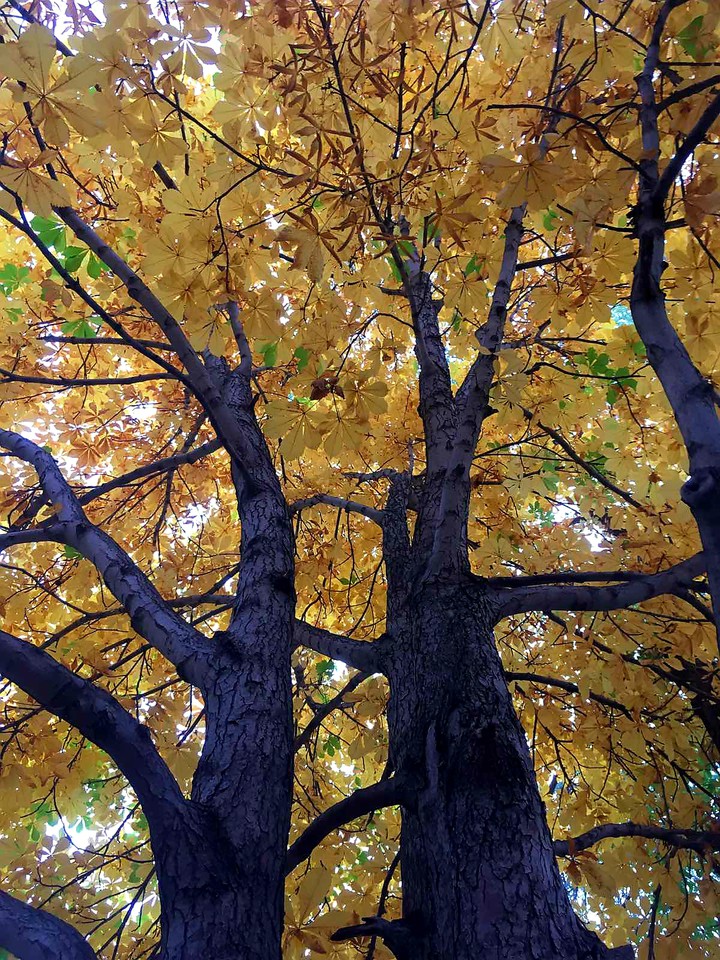 October
