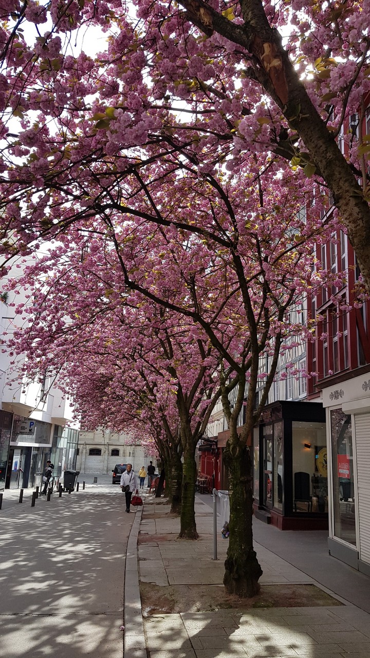 Rouen
