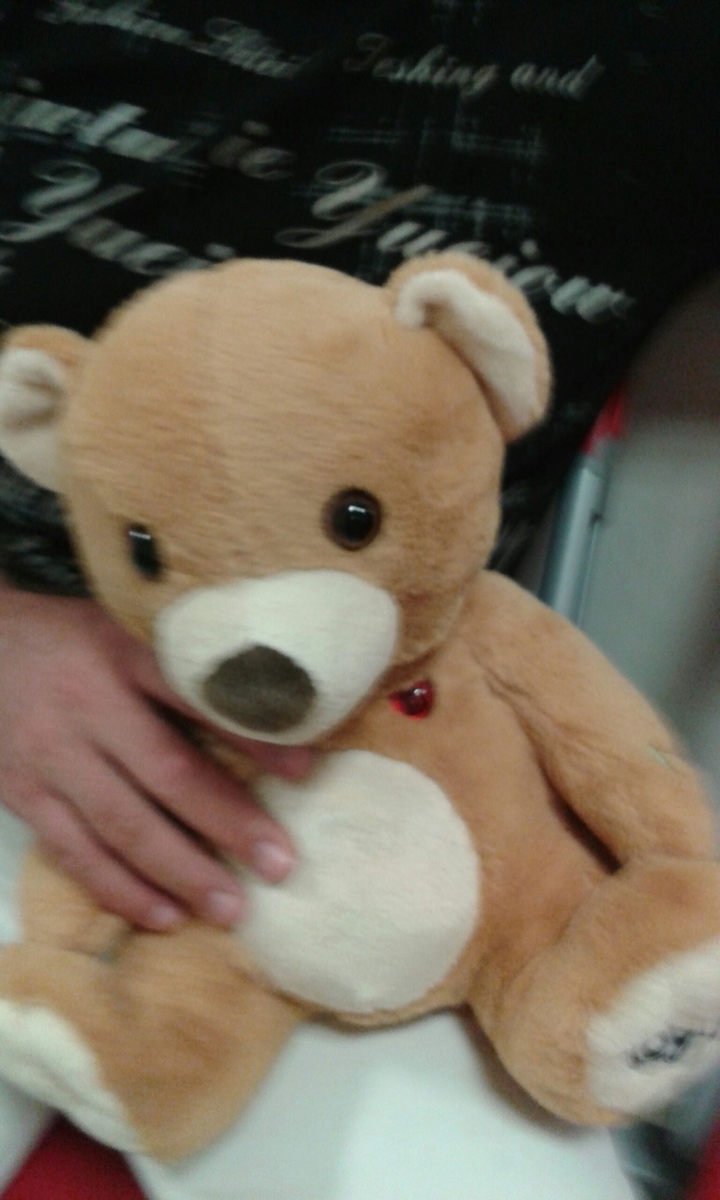 teddy