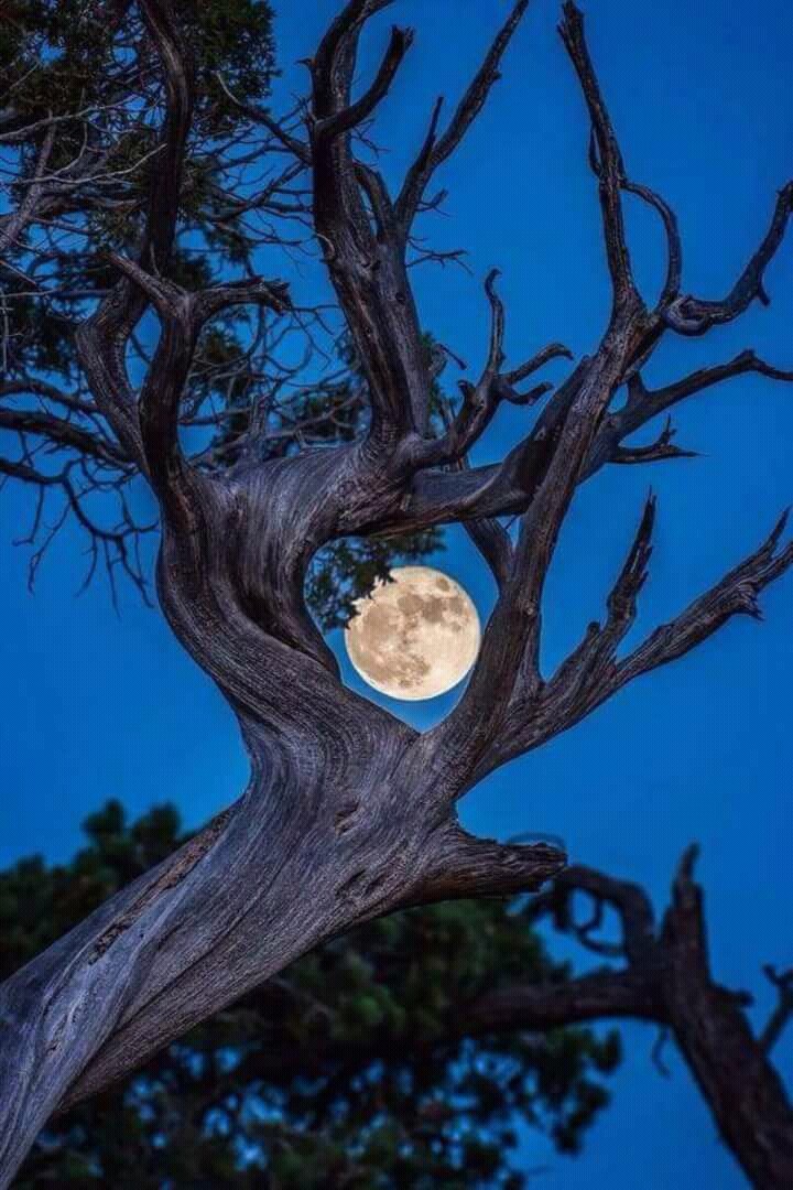 nature