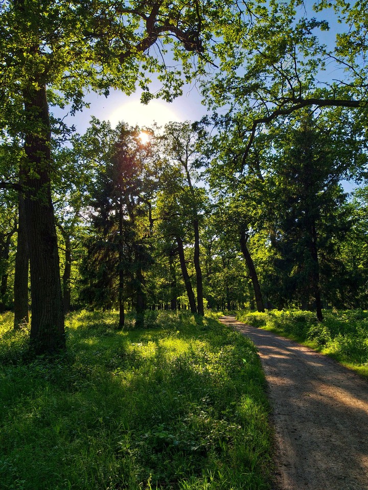 nature