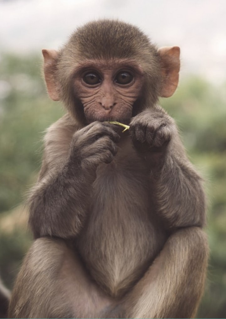 cute...