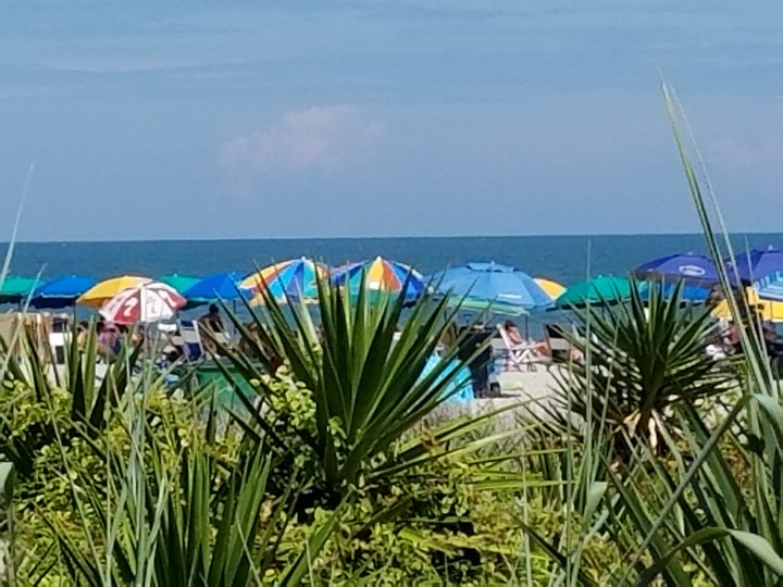 Myrtle Beach