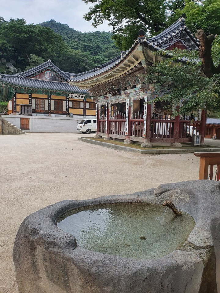 문화