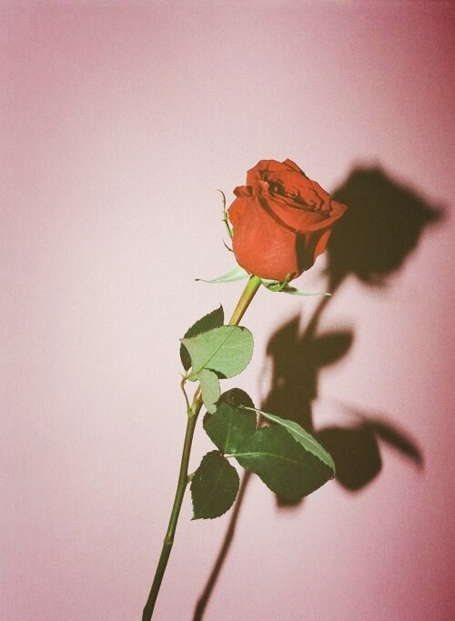 HER RESMİN ARDINDA SEN..