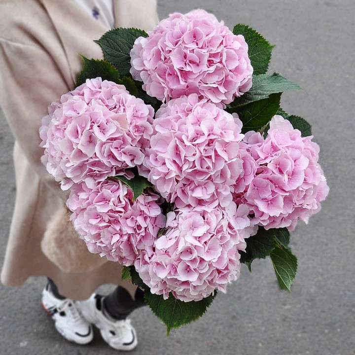 pink love ?