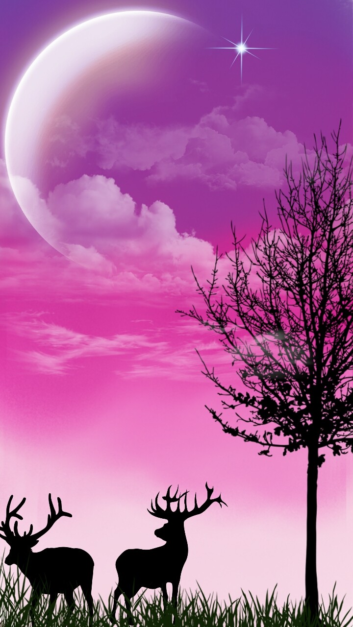 Fantasy