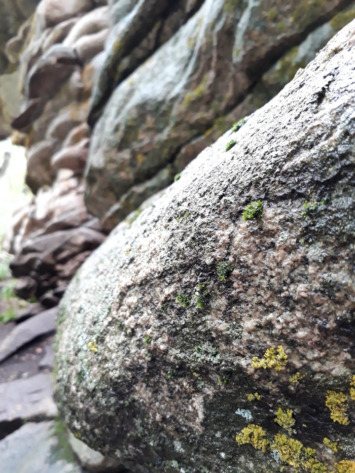 stone