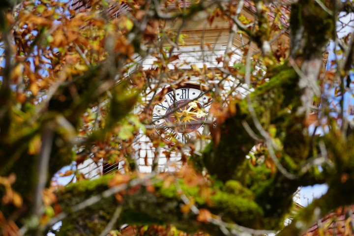 autumn time