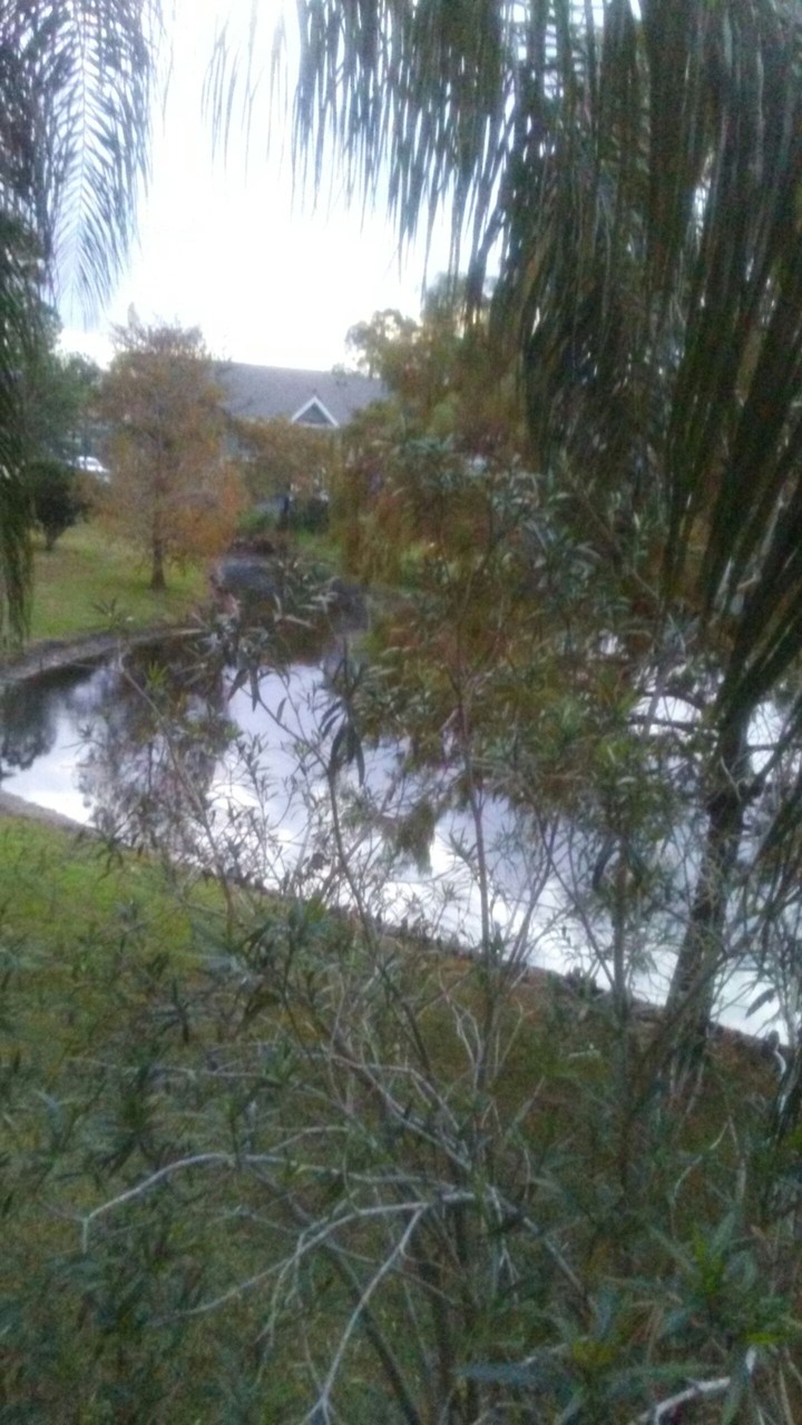 view from my balcony