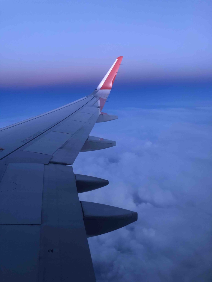 fly