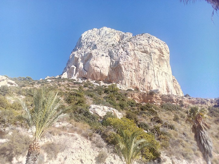the rock