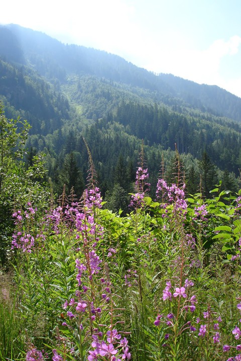 Montagne