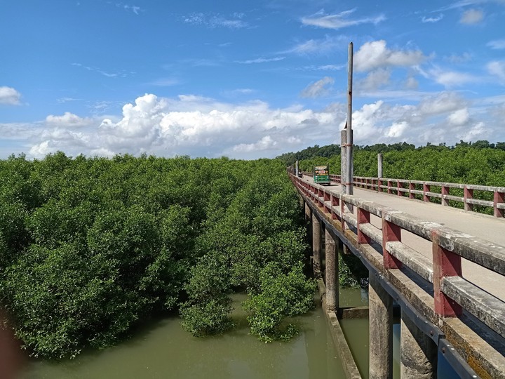 Bridge
