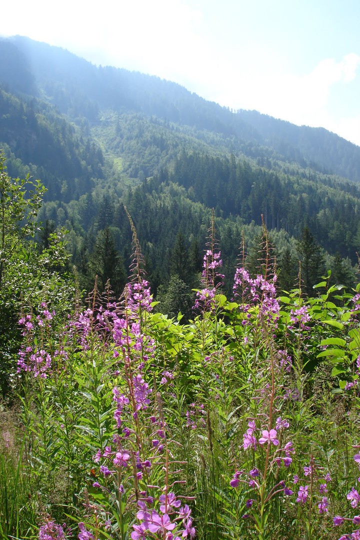 Montagne