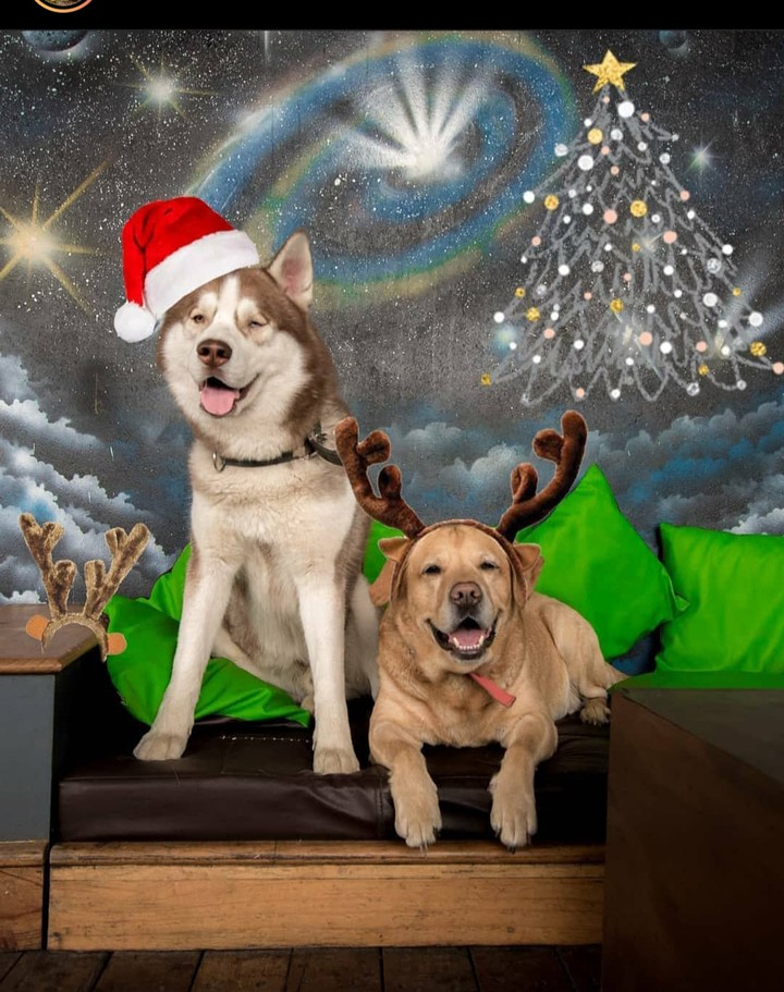 merry Christmas ?
