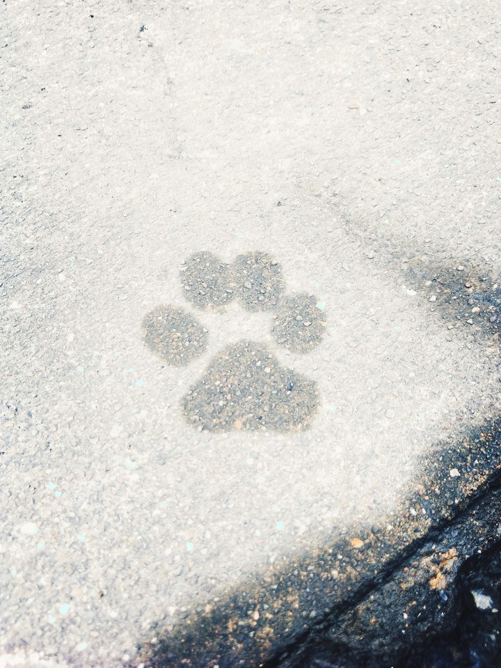 Footprint