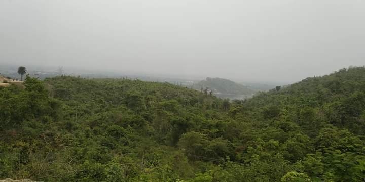 nature