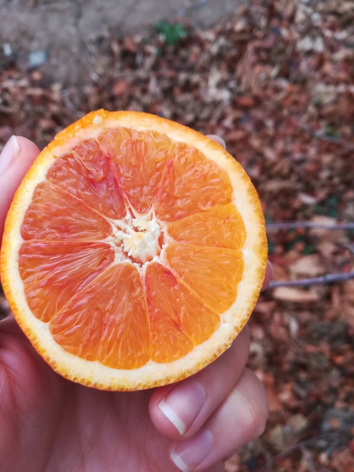 Orange