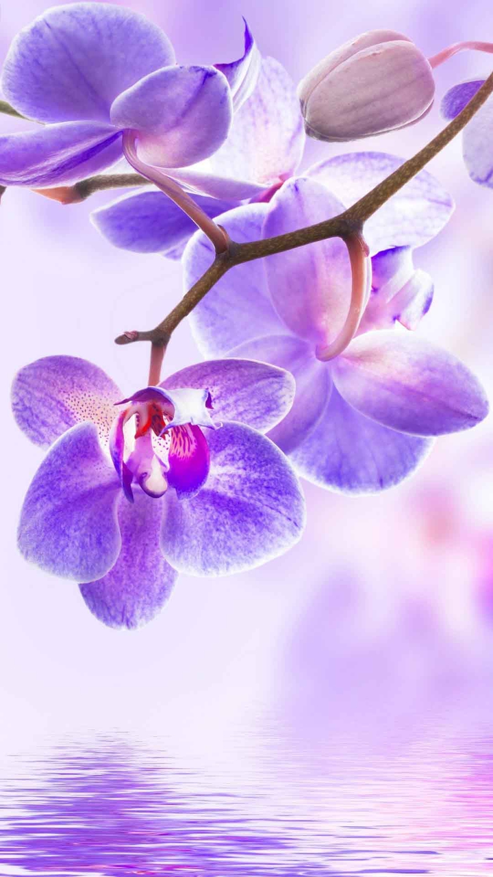 pretty