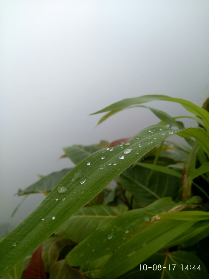 Nature Is Beautiful