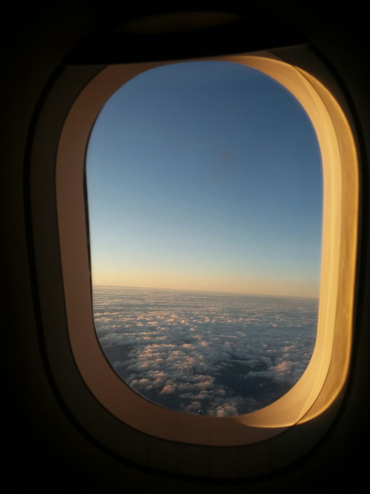 plane view