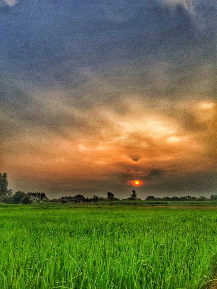 sunset