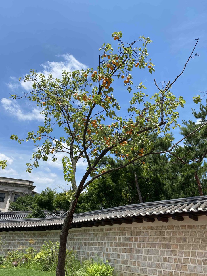 여름