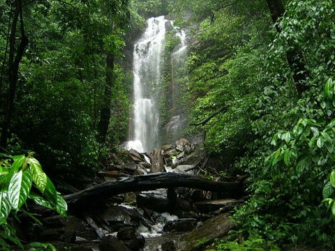 Nature is beautiful