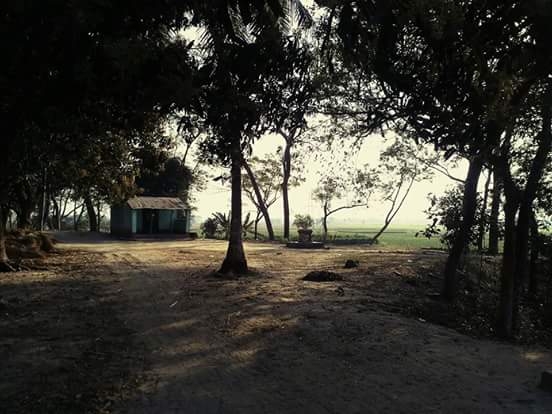 silent world