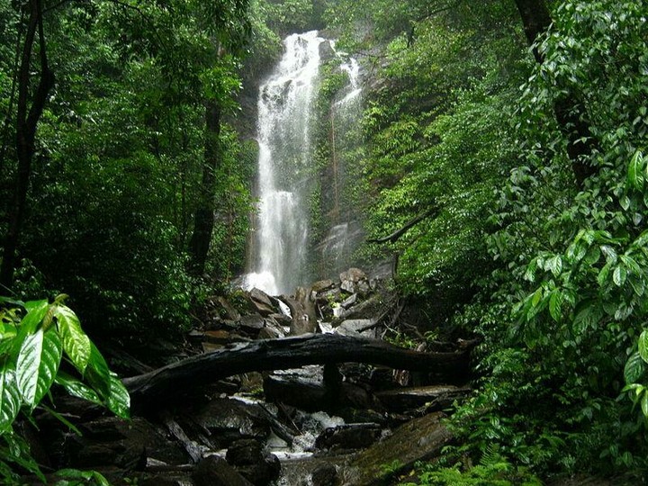 Nature is beautiful
