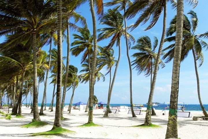 Nice Sea Shore