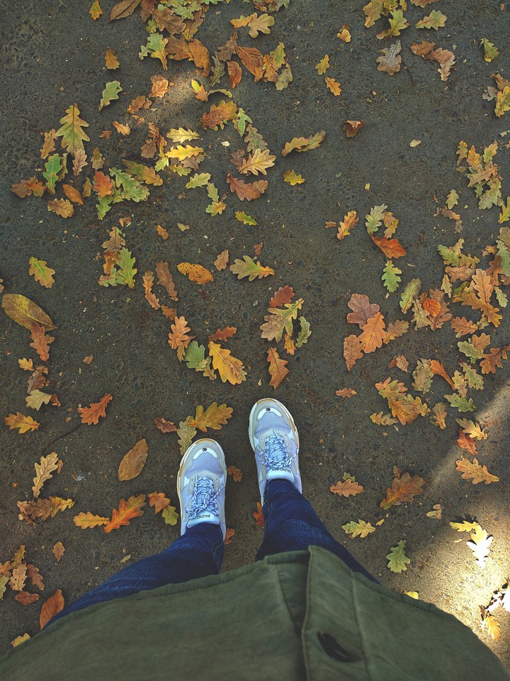 Hello autumn