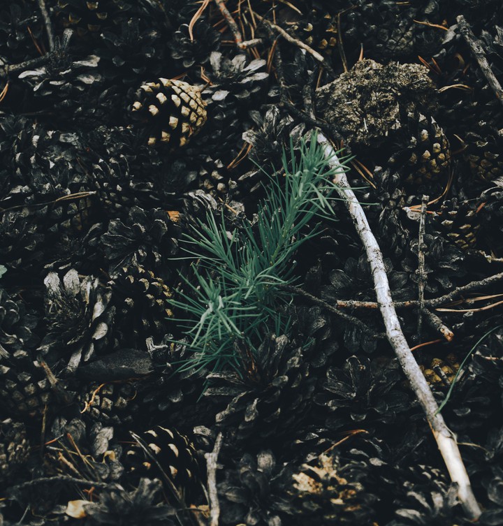 underfoot