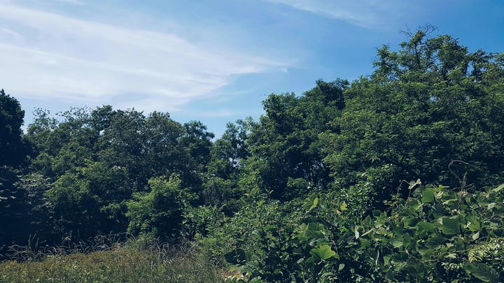 산위