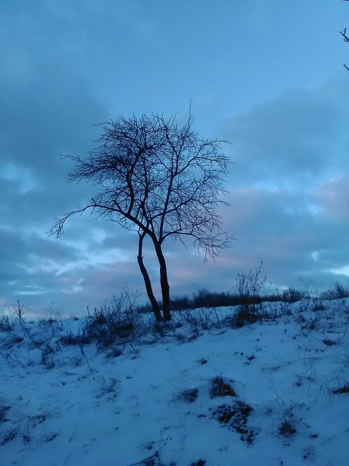 Зима