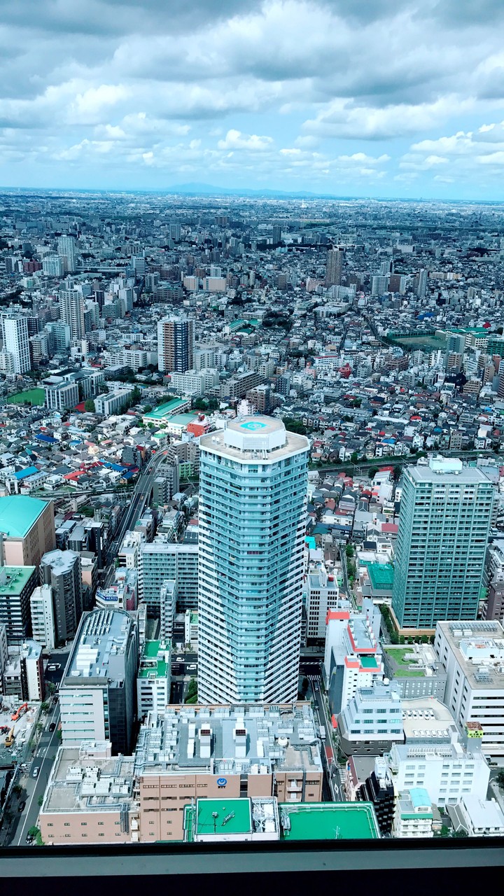 A view of Japanese city from the top