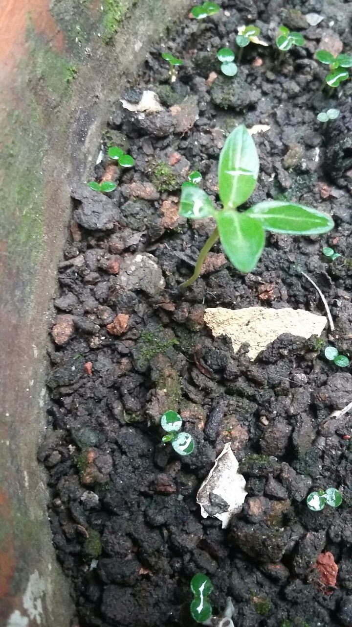 new life.. :)