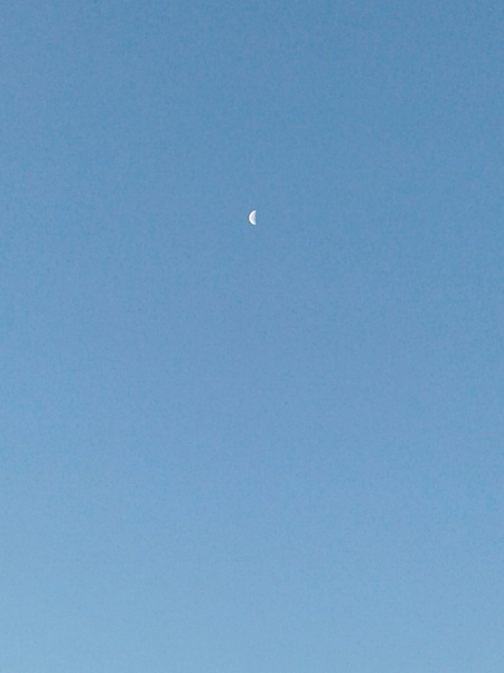 moon