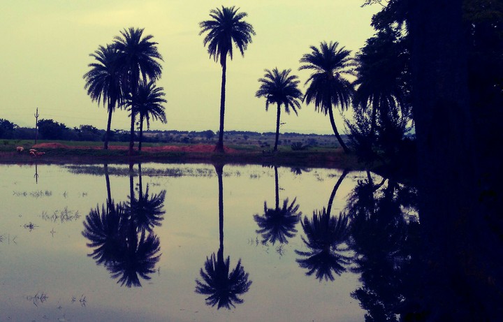 Reflection
