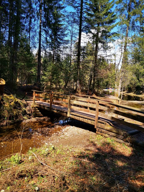 forrest bridge
