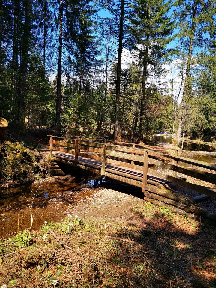 forrest bridge