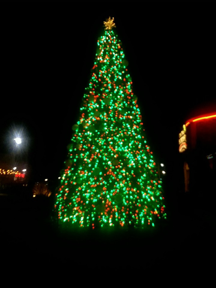 Christmas Tree