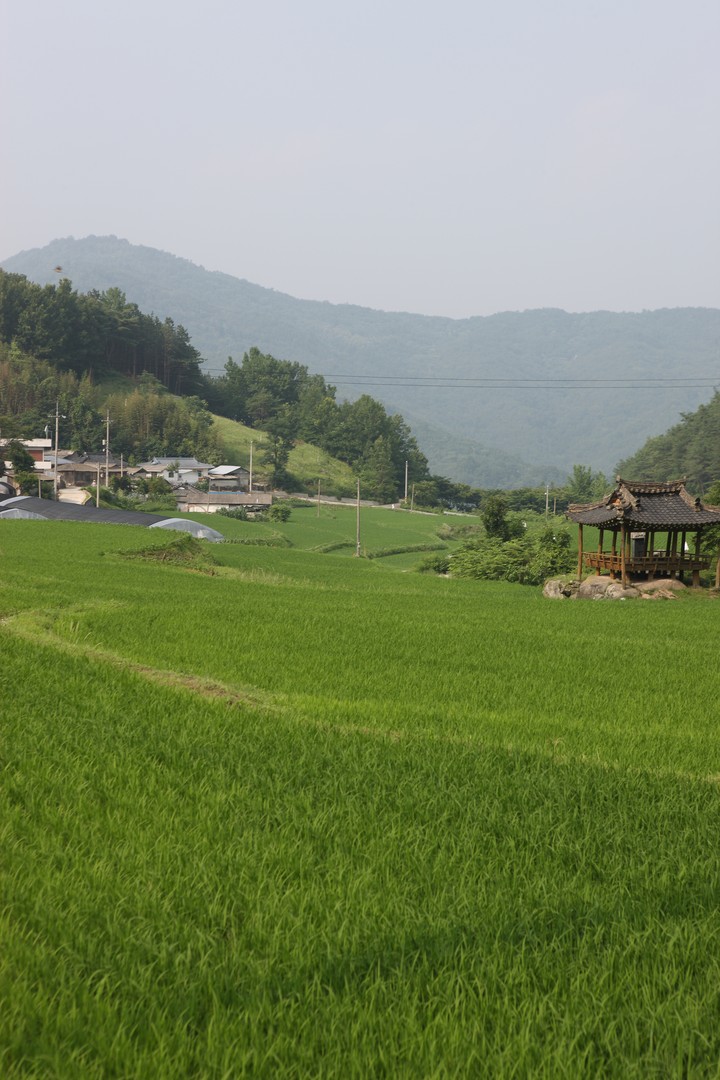 Scenics