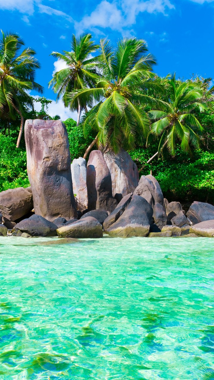 tropical beach